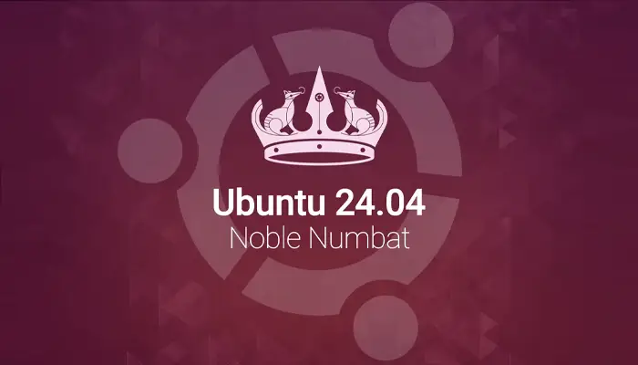 Update Ubuntu 24.04