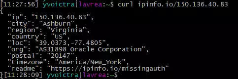 Curl ipinfo